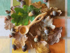Handcarved wooden 1/2 tsp measurement spoon