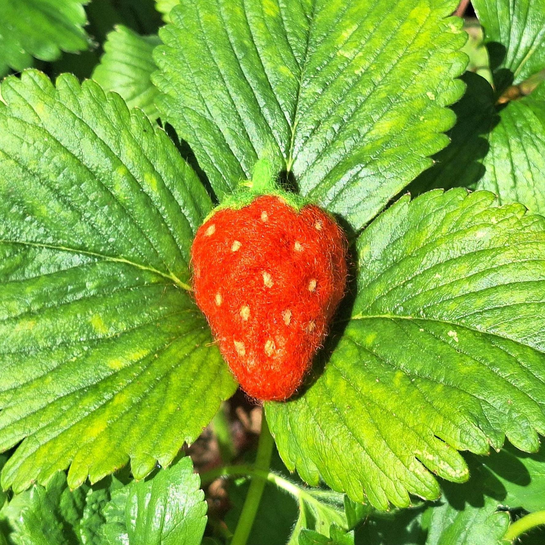 Wool Strawberry Keychain