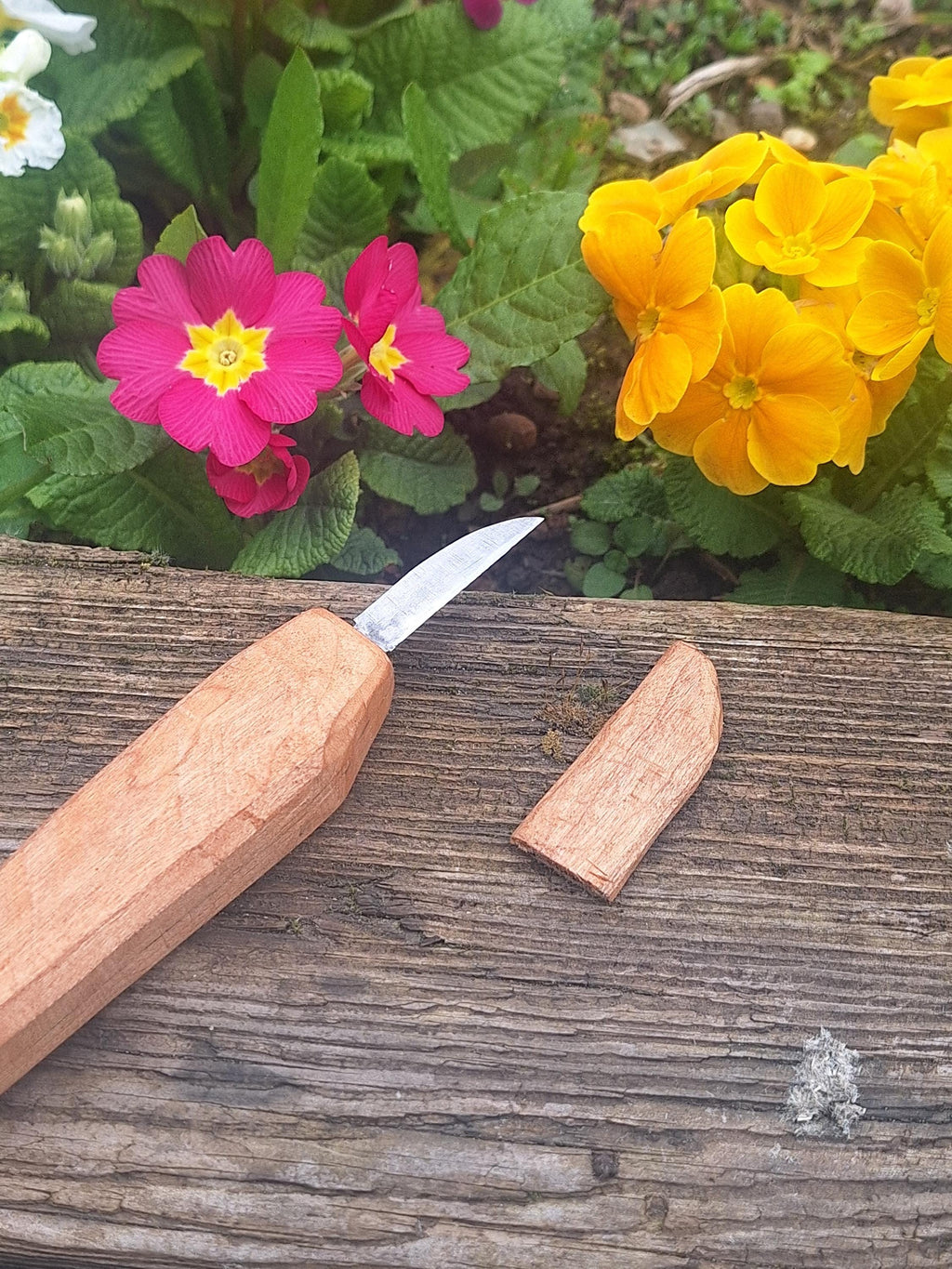 Detail Carving Knife