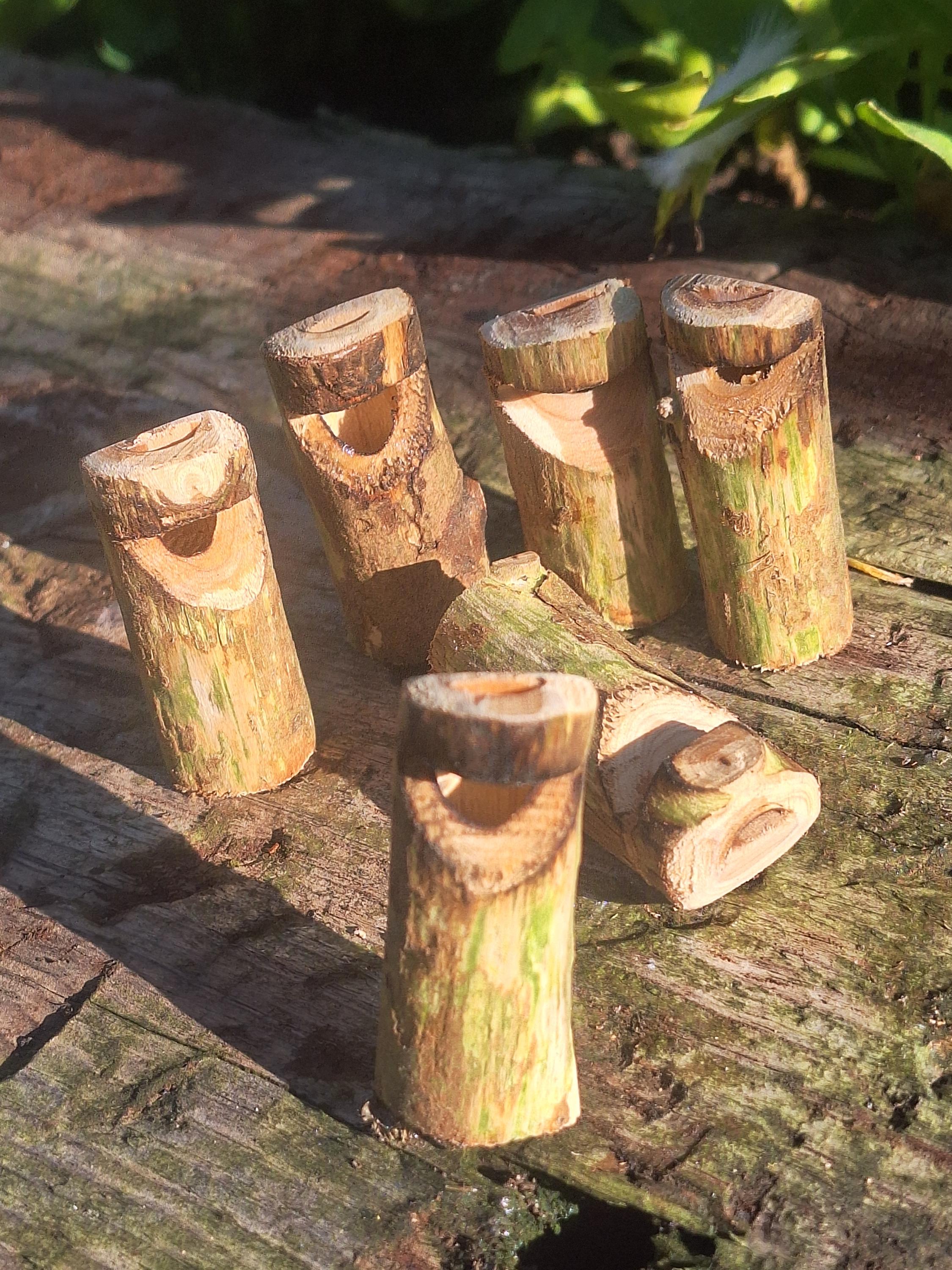 Natural Wooden Whistle